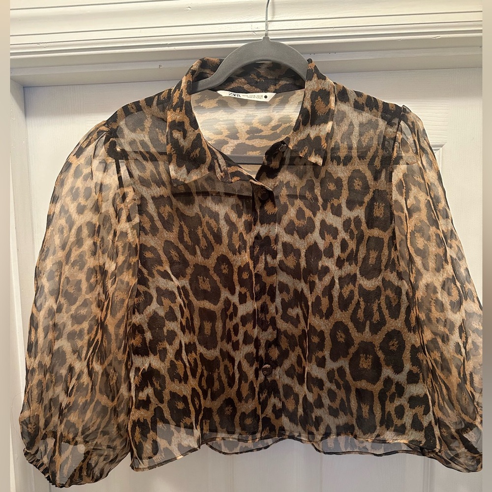 Zara organza leopard print sheer balloon sleeve